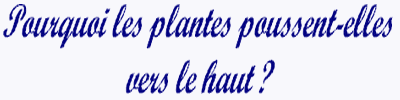 LES FOR�TS D'ASIE, D'A.. Sciences - Sciences de la Terre - 